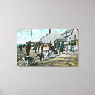 Toile Eau de Hauling avec Chiens Nome, AK
