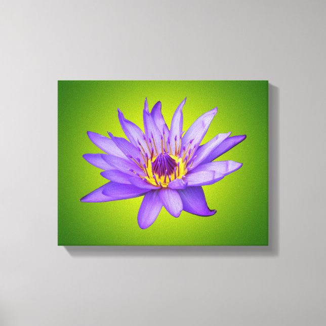 Toile Eau Lily Étang Aquatique Purple Fleurit (Recto)