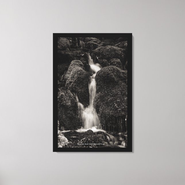 Toile Eau sur la mousse (Recto)