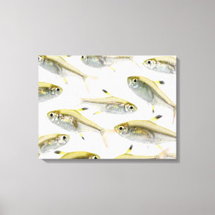 Toile École de tétra poissons de rayon X (Pristella