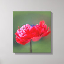 Effet de peinture de fleur rouge près