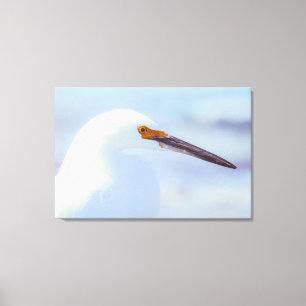 Toile Egret neigeux