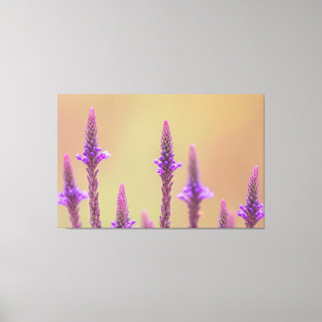 Toile Einfach zum Träumen... (Recto)