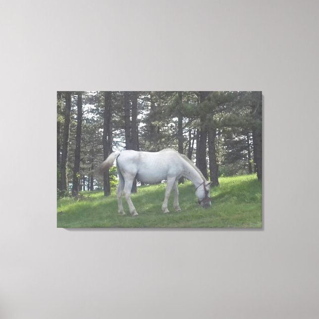 Toile Élégant Beau Cheval Blanc Art Original (Recto)