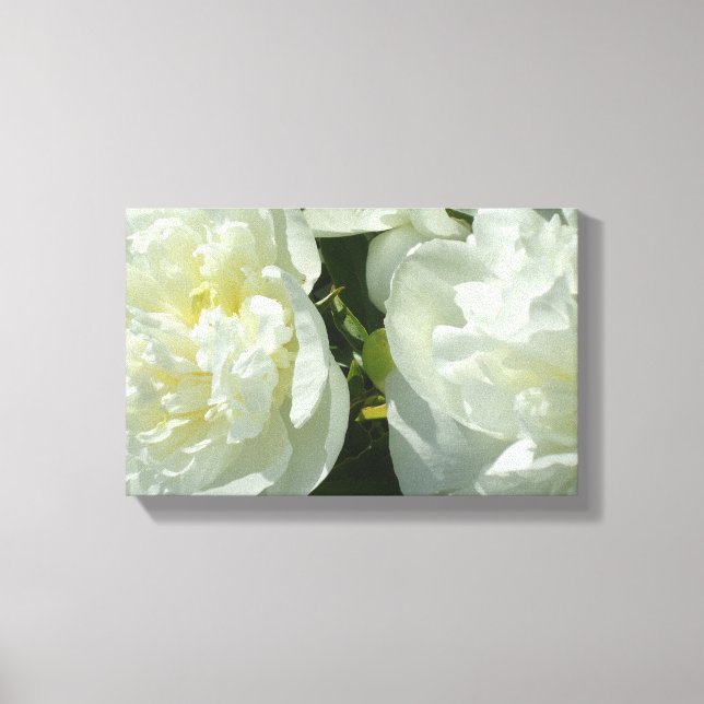 Toile Elégant blanc peony floral blanc photo (Recto)