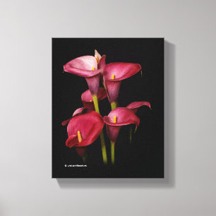 Toile Élégant Calla Lilies