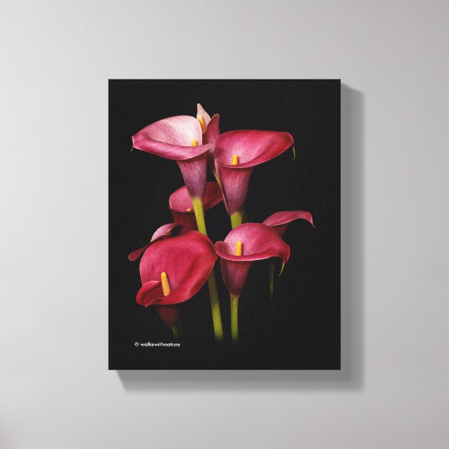 Toile Élégant Calla Lilies (Recto)