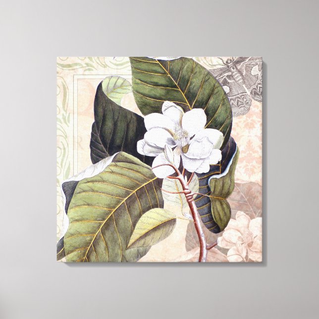 Toile Élégant Magnolia blanc Vintage (Recto)