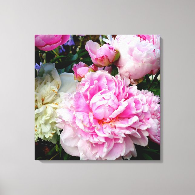 Toile Elégant rose peony blanc floral jardin photo (Recto)