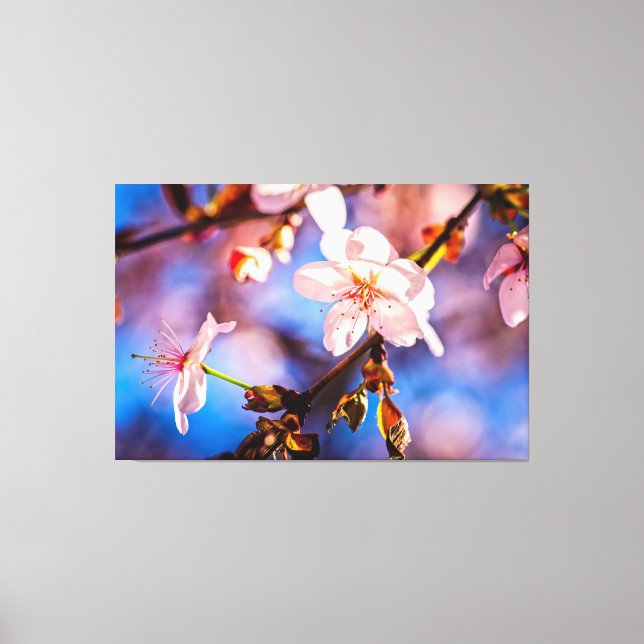 Toile Élégant Sakura Blossoms (Recto)