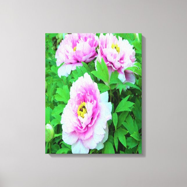 Toile Élégante pivoine d'arbre rose avec centre jaune (Recto)