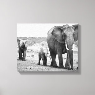 Toile Éléphant africain et veaux   Kenya, Afrique