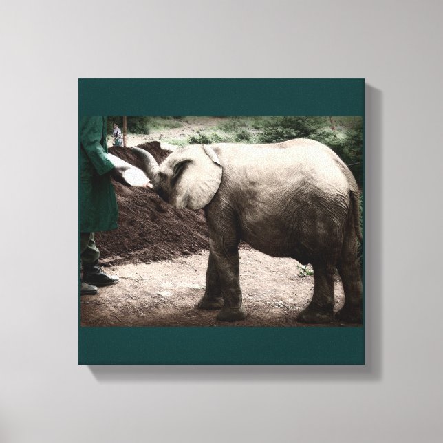 Toile Elephant bébé - Kenya (Recto)