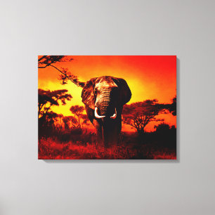 Toile Éléphant de coucher du soleil
