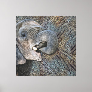 Toile Eléphant gris exotique en cuir Camouflage animal