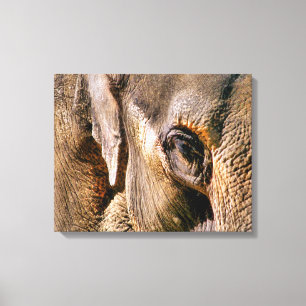 TOILE ÉLÉPHANTS