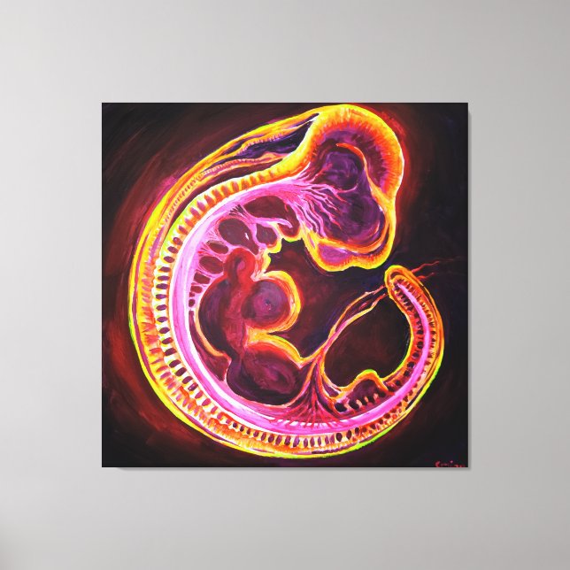 Toile Embryo (Recto)