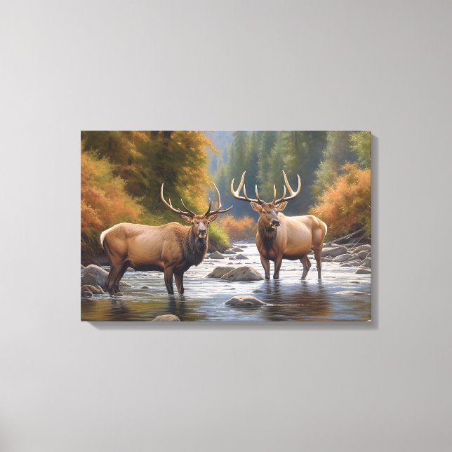 Toile en Elk de Yellowstone (Recto)