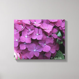 Toile en fleurs d'Hydrangea violet