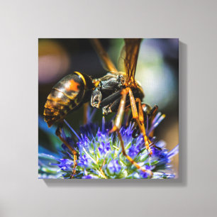 Toile encadrée « Bee Aware » 12" x 12", 1,5"