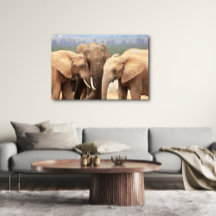 Toile encadrée d'éléphant