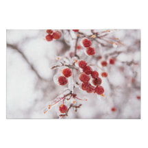 Toile enrobée 36 x 24 pieds