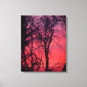 Toile enveloppée au lever du soleil des arbres nus