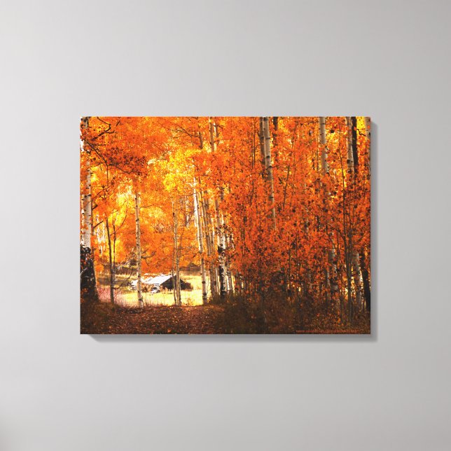 Toile Enveloppée Beaux-Art Cabine Aspen Couleurs d (Recto)