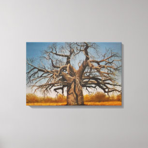 Toile enveloppée d'arbre de baobab
