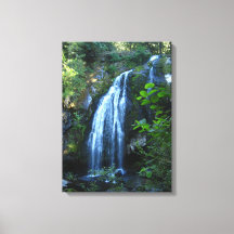 Toile enveloppée de cascade