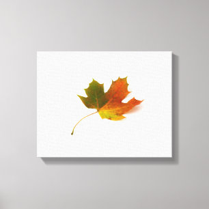 Toile enveloppée de feuille d'érable