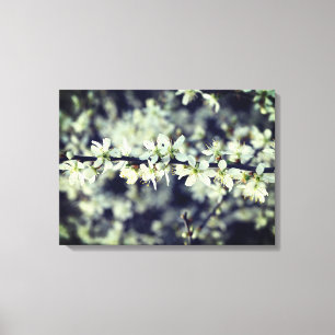 Toile Enveloppée de fleurs de printemps