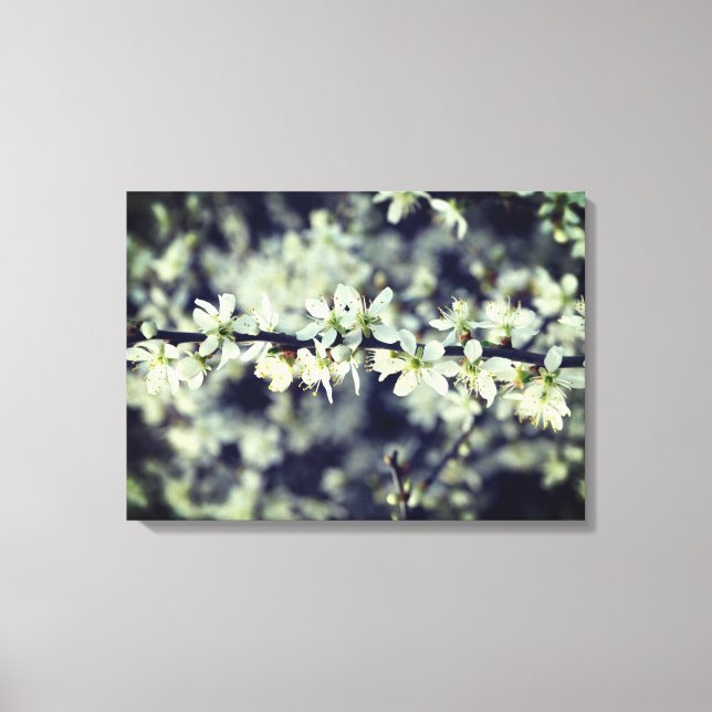 Toile Enveloppée de fleurs de printemps (Recto)