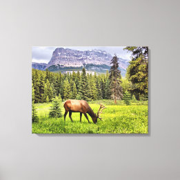 Toile Enveloppée de Taureau