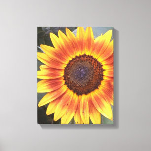 Toile enveloppée de tournesol jaune N orange
