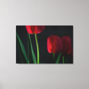 Toile Enveloppée De Tulipes Rouges