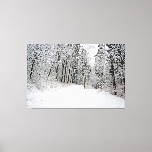 toile enveloppée d'hiver (Recto)