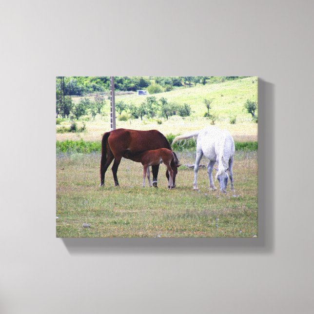 Toile enveloppée Impression, Famille de chevaux (Recto)
