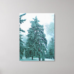 Toile Épinette d'hiver avec neige