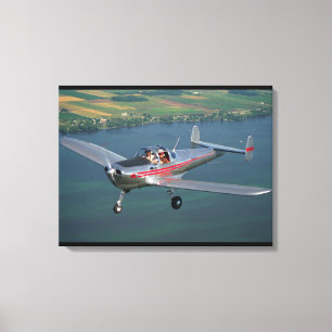 Toile Erco, Aircoupe, aviation 1946_Classic