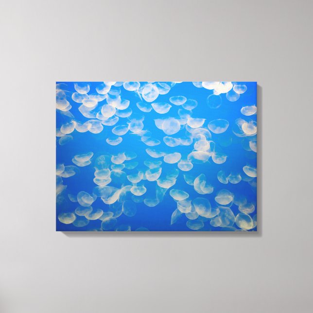 Toile États-Unis, Californie. Jellyfish In the Monterey (Recto)