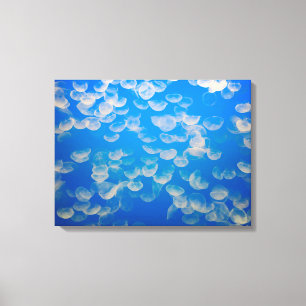 Toile États-Unis, Californie. Jellyfish In the Monterey