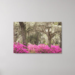 Toile États-Unis, Géorgie, Savannah, Printemps à l'histo