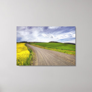 Toile États-Unis, Idaho, Comté d'Idaho, Champ de canola