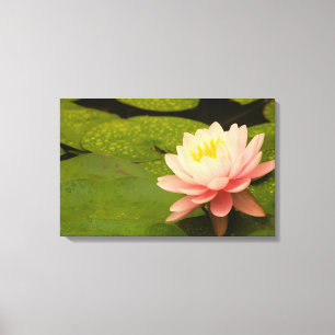 Toile États-Unis, Maryland, Westminster, Union