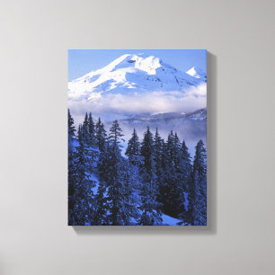 Toile États-Unis, Oregon, Forêt nationale de Deschutes,