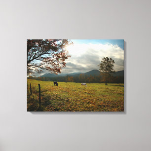 Toile États-Unis, Tennessee. Cheval Dans La Vallée De 