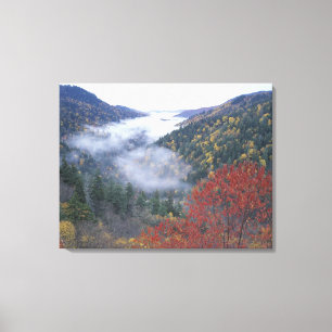 Toile États-Unis, Tennessee, Parc national des Great Smo