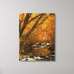 Toile États-Unis, Tennessee. Rushing Mountain Creek 3