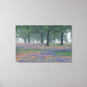 Toile États-Unis, Texas, Texas Hill Country Champ vaste